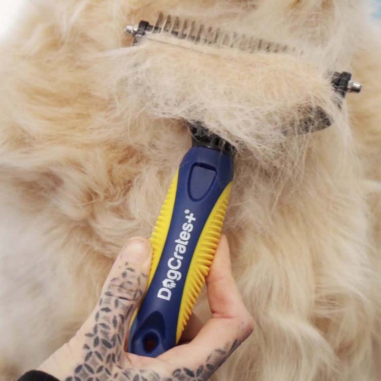 Dog Grooming