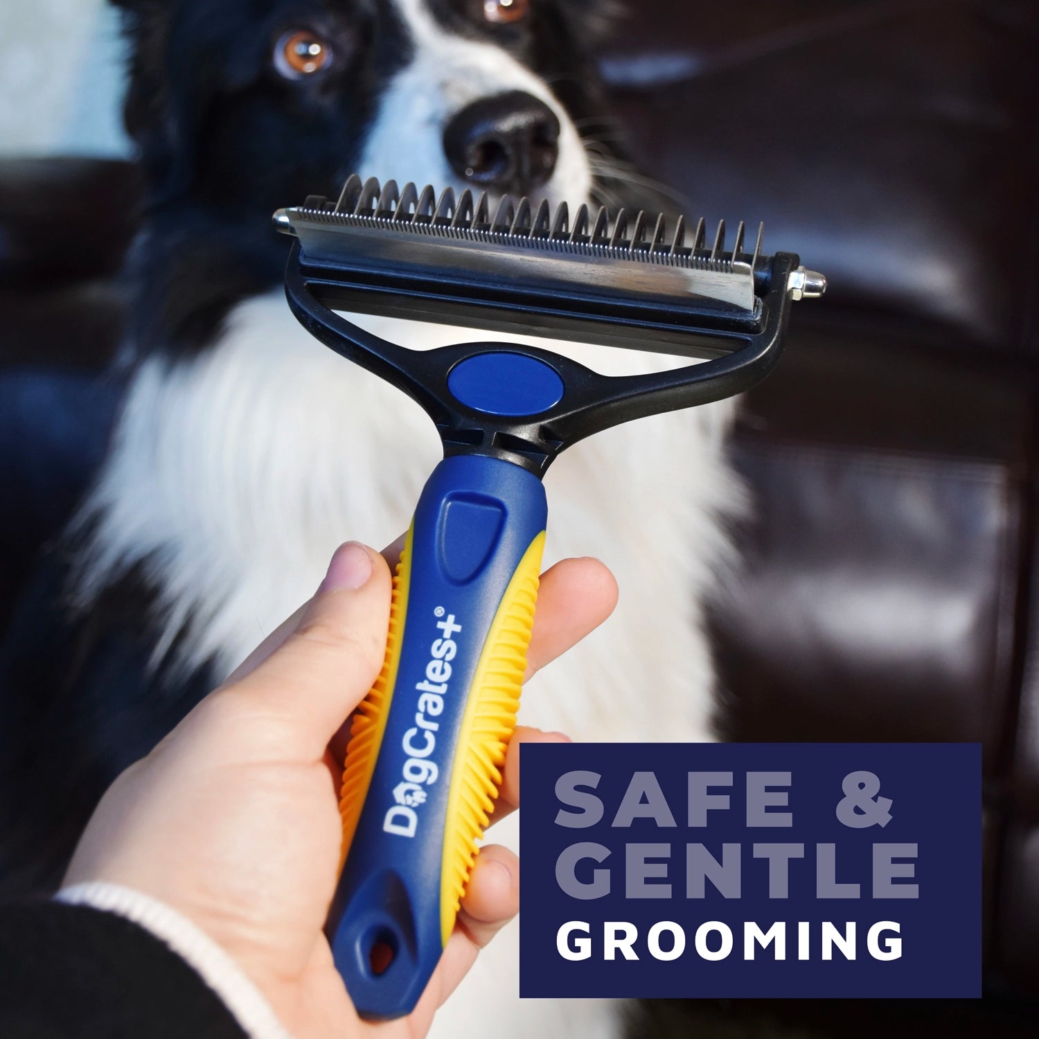 Dual Dog Grooming Brush Deshedding Dematting DogCrates