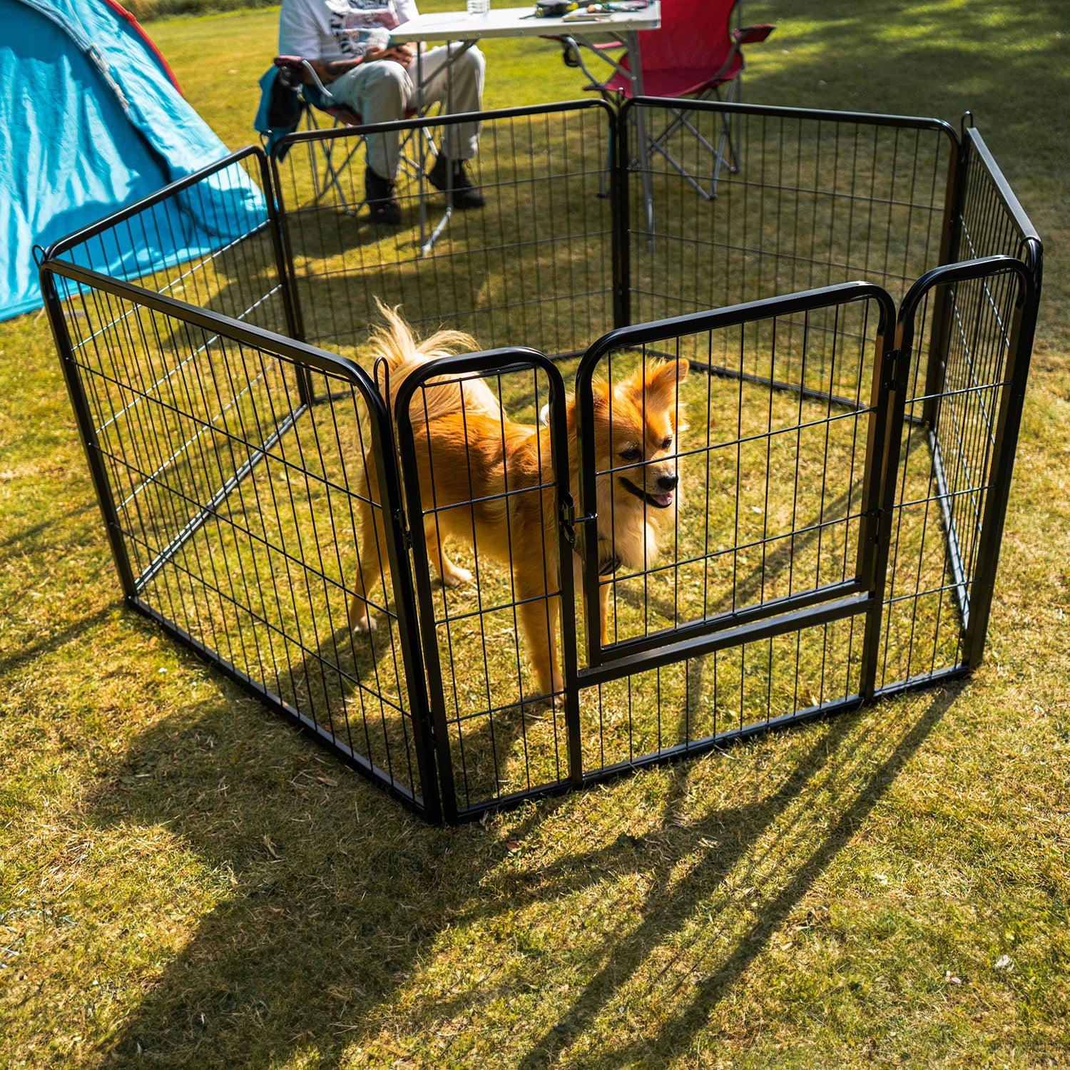 Folding best sale dog playpen