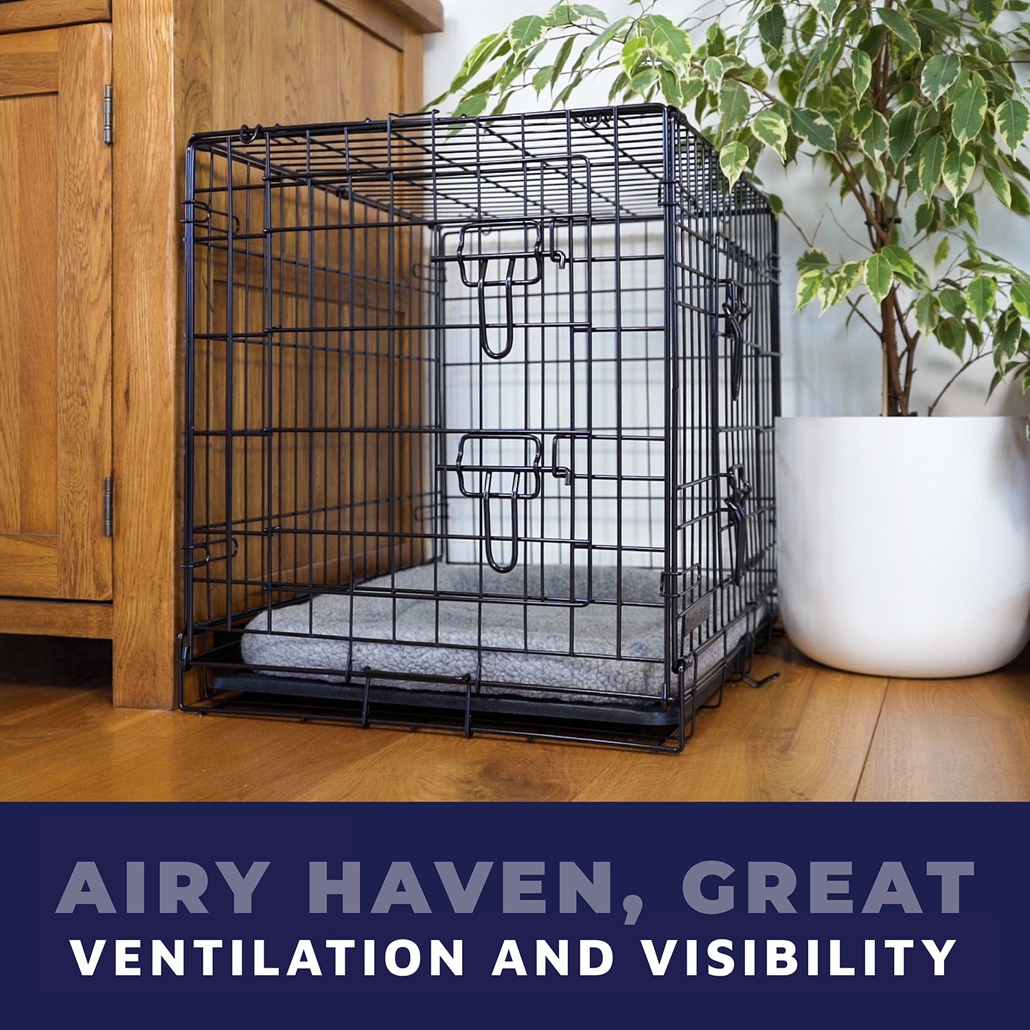 Great dane hot sale travel crate