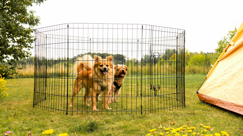 Dog Crates, Dog Beds, Deshedding Tools, Car Seat Covers and Seat Belts